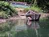 Descente en pirogue de Dugong River