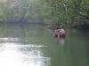 Descente en pirogue de Dugong River. Ces deux dames semblaient suspendues aux branches ou elles s'étaient attachées pour pécher.