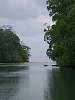Descente en pirogue de Dugong River.